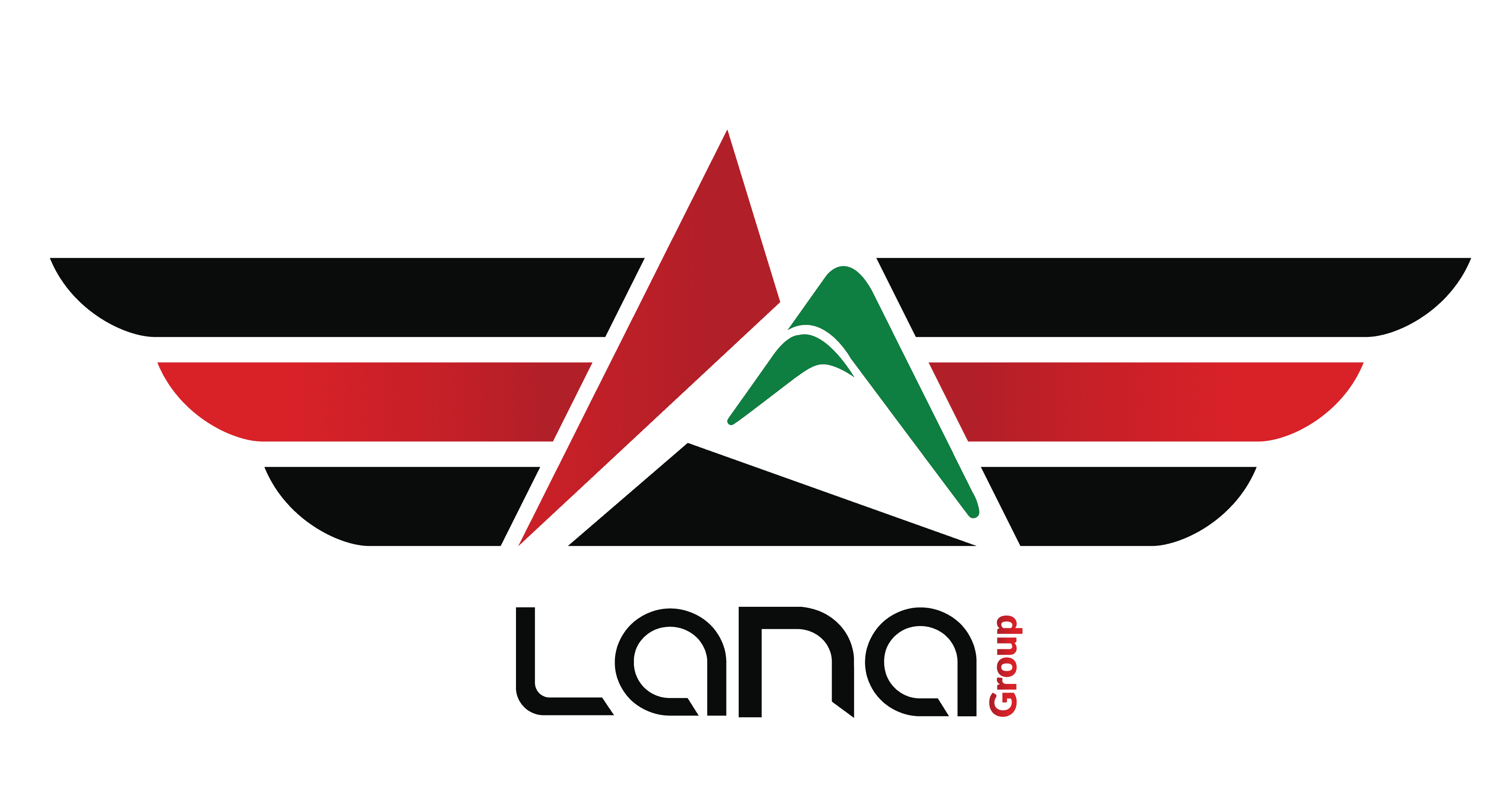Lana Hybrid - Technology and Innovation Solutions Division